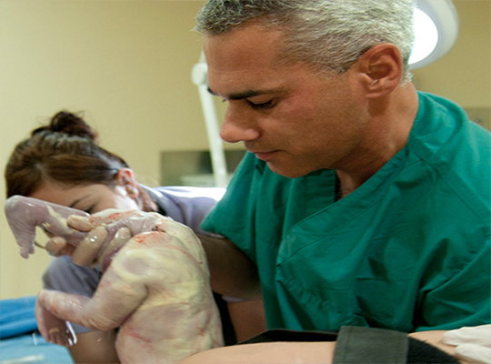 Op. Dr. Şükrü Sanus - Kadın Hastalıkları ve Doğum Uzmanı